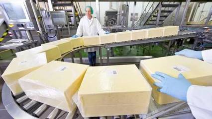 恒天然斥資2000萬擴(kuò)建工廠，全力擁抱中國(guó)奶酪市場(chǎng)新浪潮