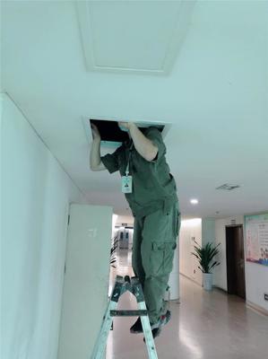 專業滅鼠，守護健康——廣漢工廠滅鼠服務咨詢與信息指南